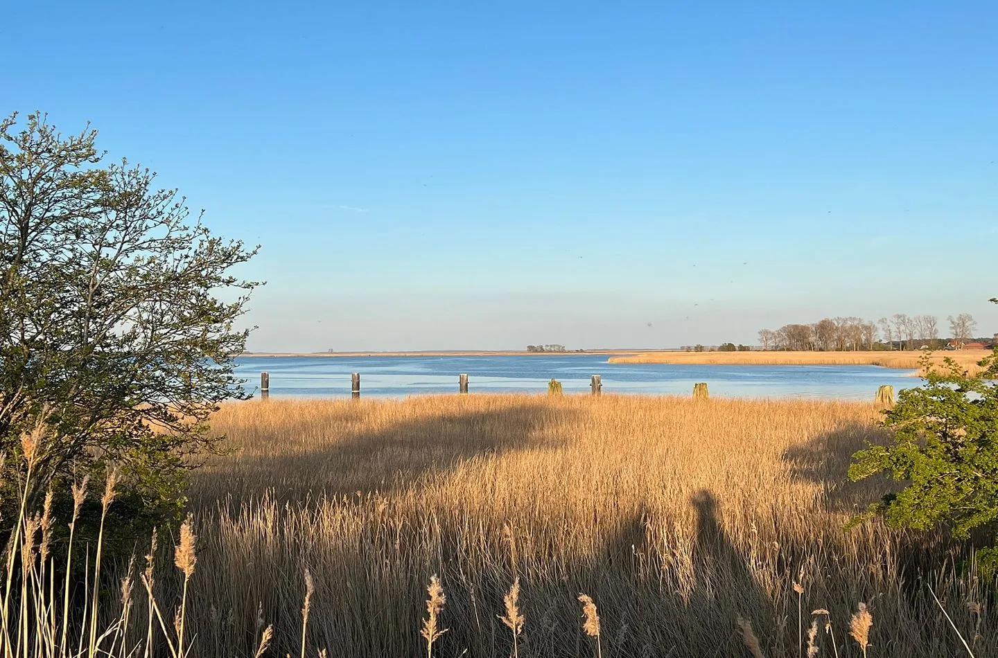  Ostseenest Fuhlendorf - Landschaft