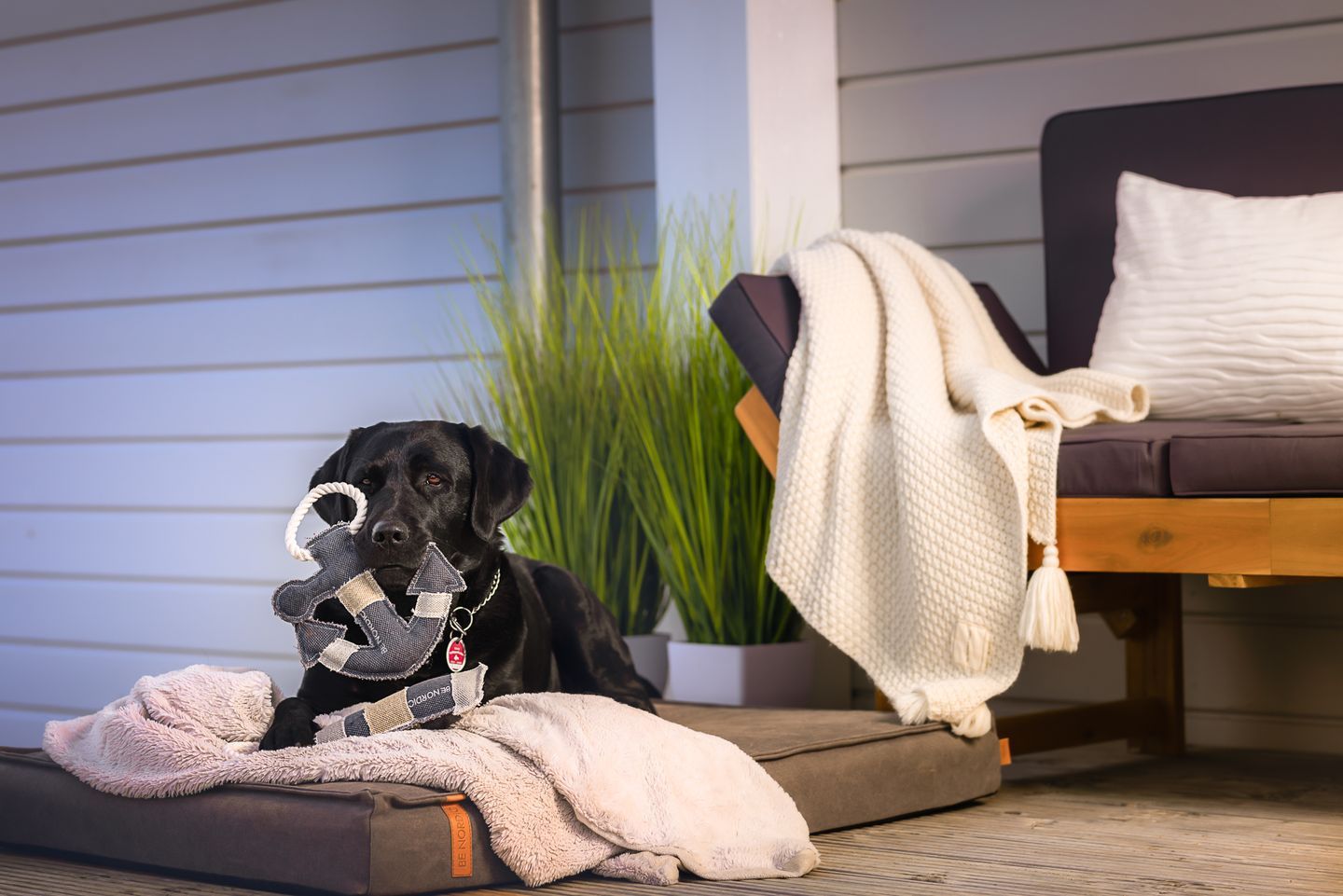 Hundefreundliche Unterkünfte