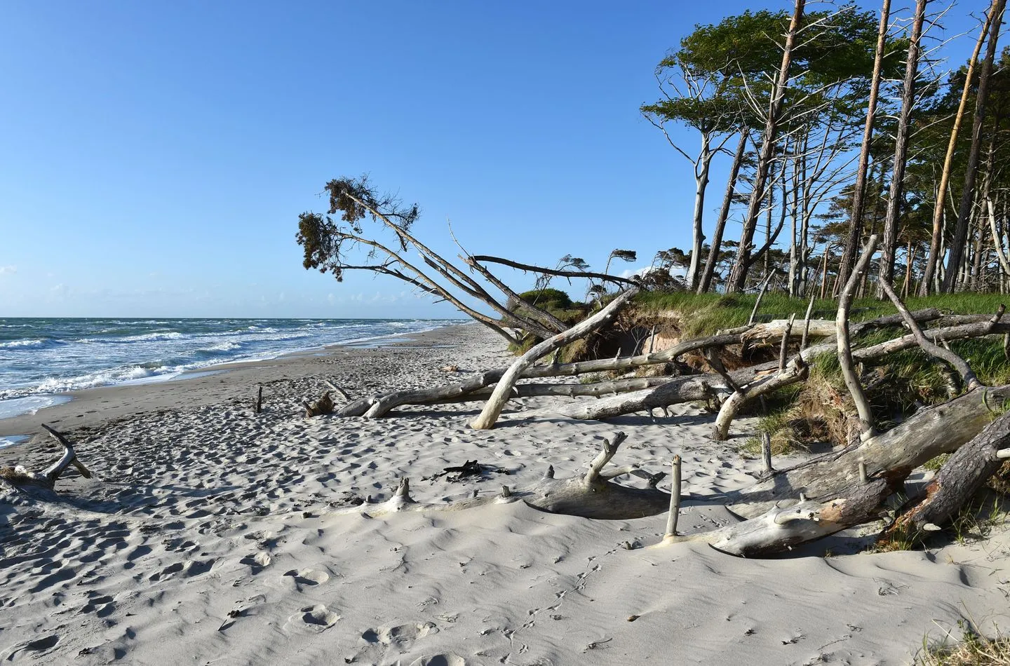 Bernstein Zingst - Landschaft