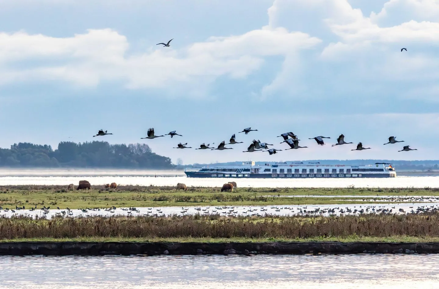  An de See Zingst - Landschaft