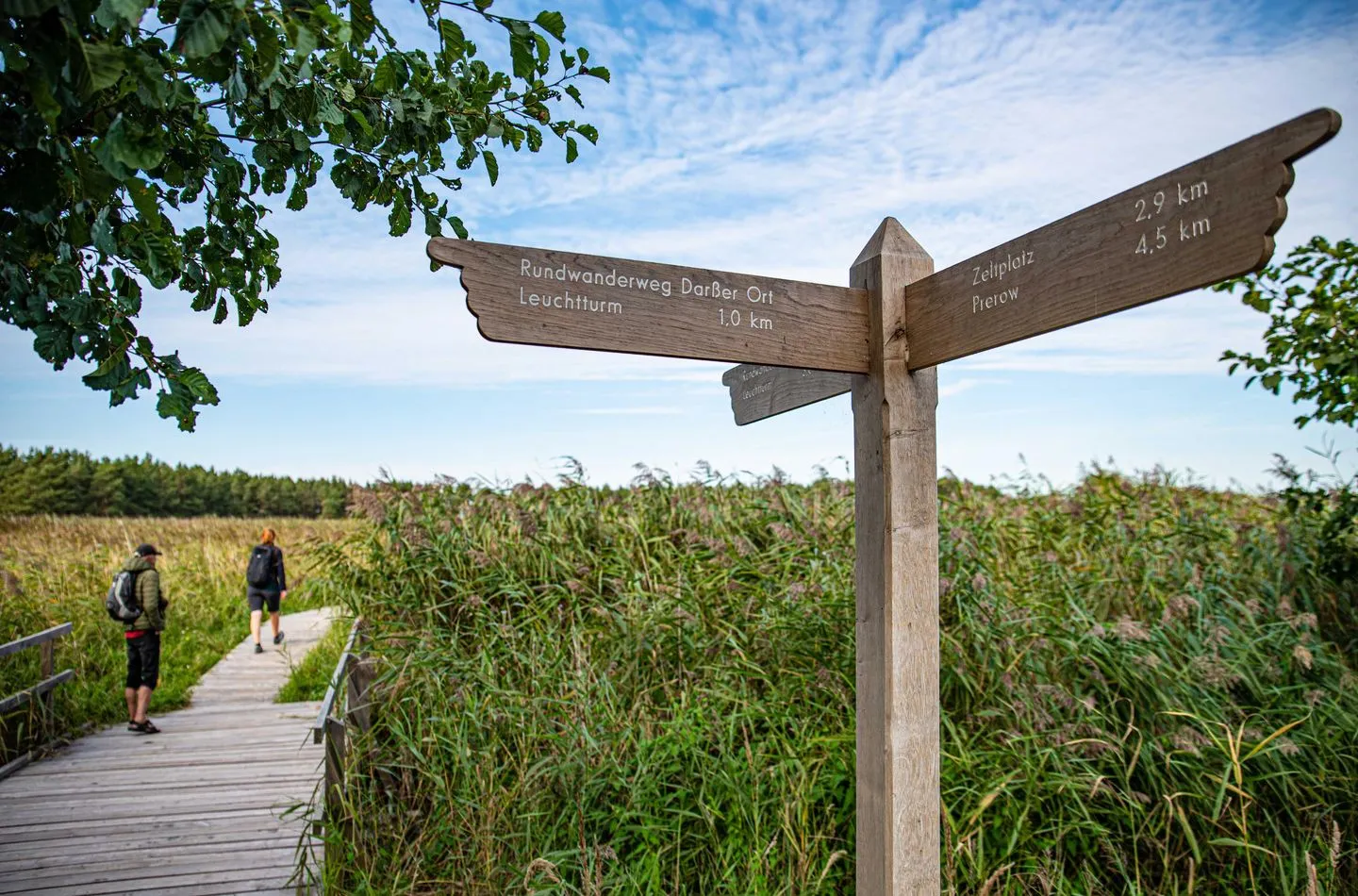  Windflüchter Zingst - Sport / Aktivitäten