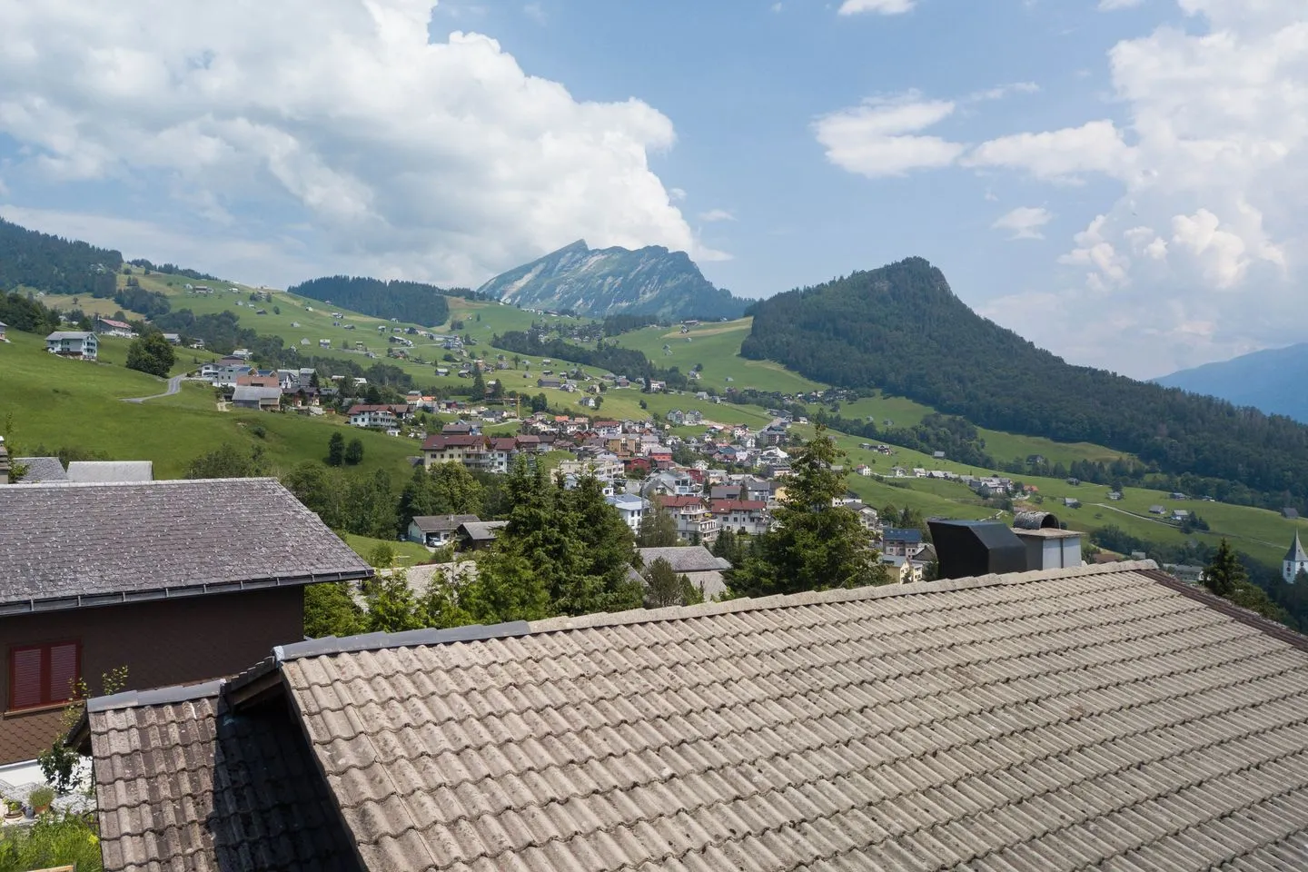 Apartment Bergdohle Amden - Aussicht auf Leistchamm