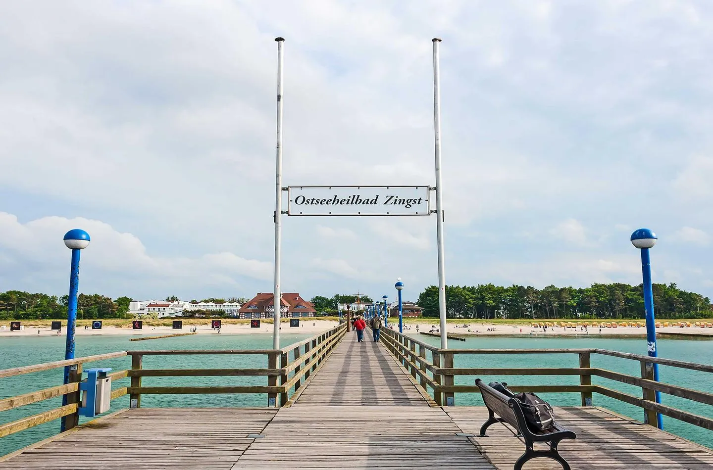  Strandhafer Zingst - Landschaft