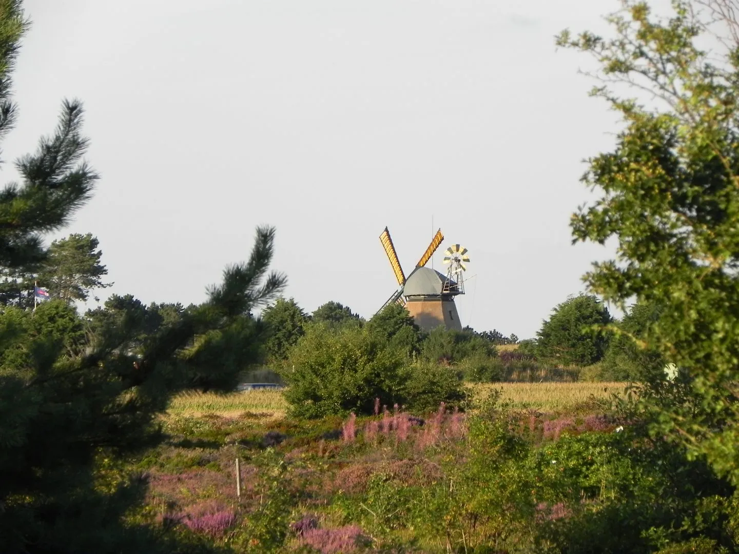 Haus Seeadler Ferienwohnung Meeresbrise Wittdün auf Amrum -