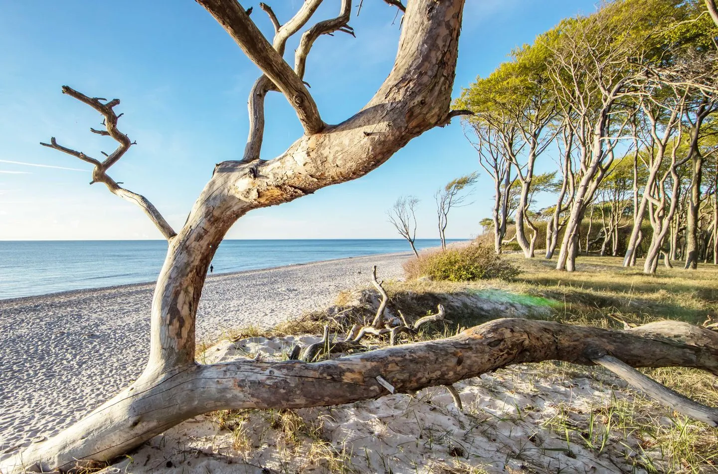  Große Welle Wustrow - Strand