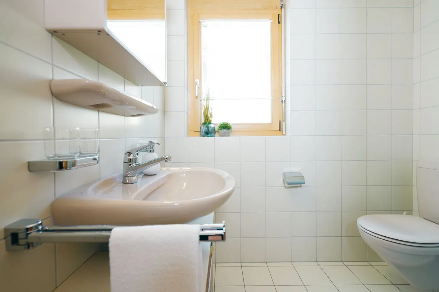 Apartment Brugg Amden - Bathroom