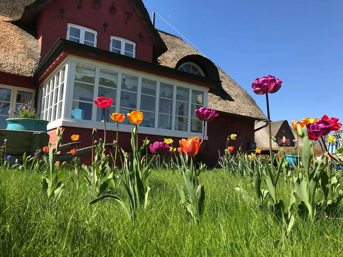 Hüs Sanskiin Ferienwohnung *Hopelfask* Süddorf auf Amrum - Hauptansicht