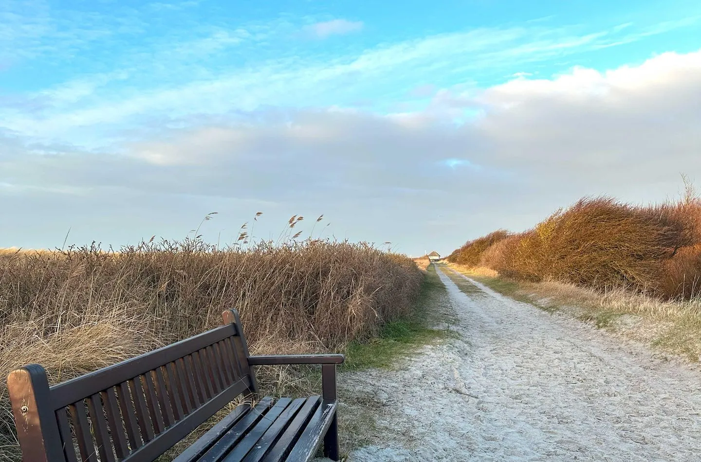  Oberdeck Wustrow - Strand