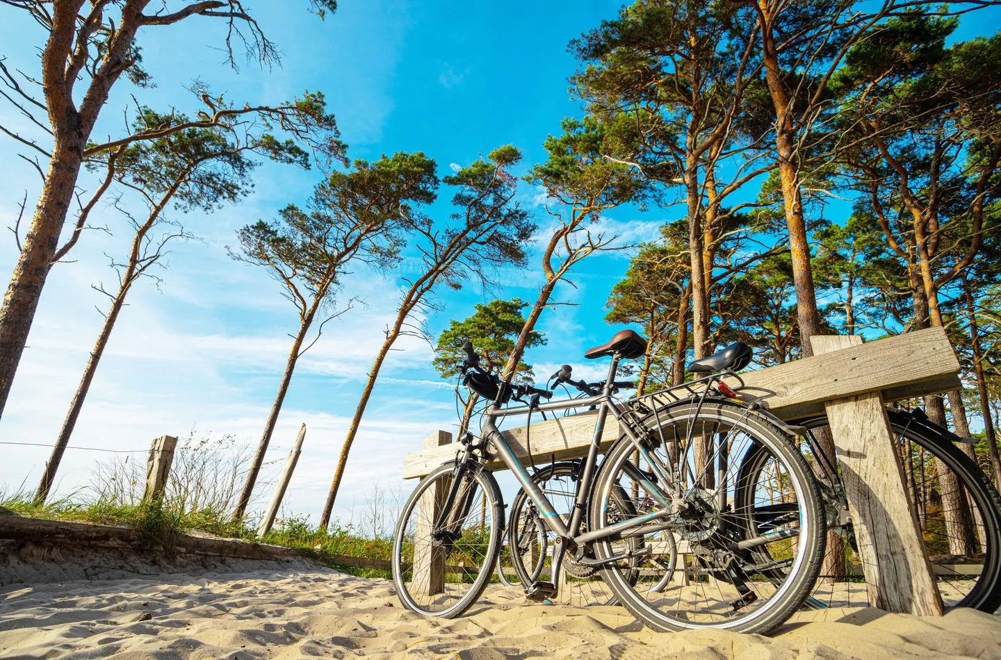 Ostseepanorama Wustrow - Landschaft