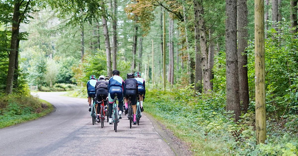 Gruppe von Rennradfahrern fäht auf einer Straße im Wald