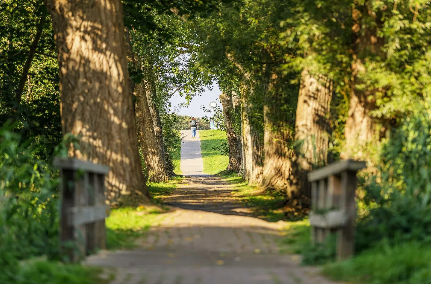  Boddenflair Wustrow - Landschaft