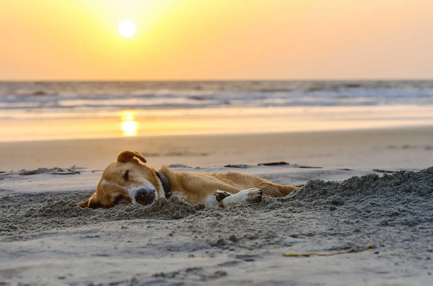 Sommerzeit Wustrow -
