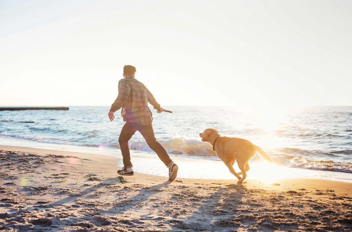  Große Strandburg Wustrow - Sport / Aktivitäten