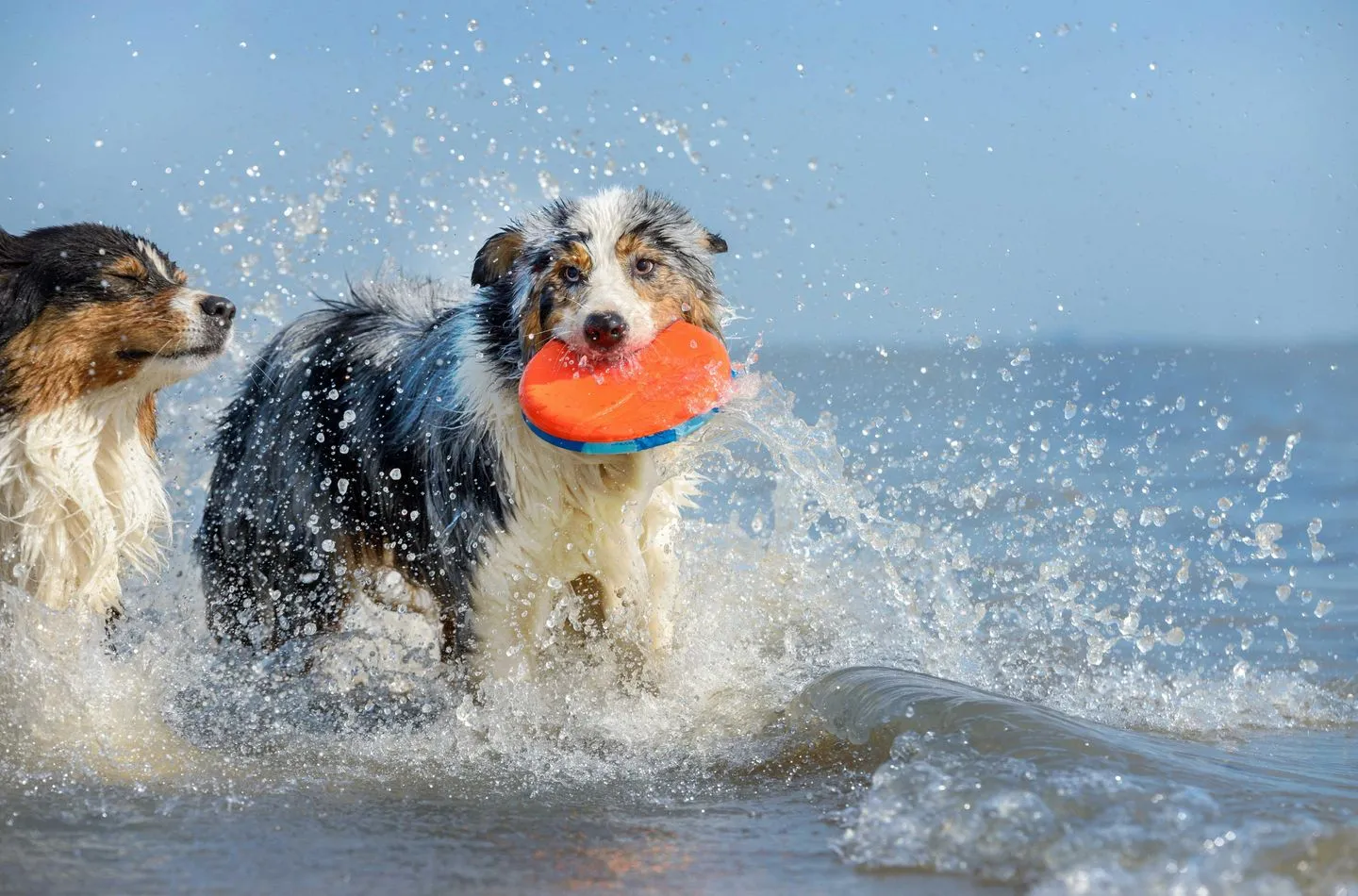  Große Stranddüne Wustrow - Sport / Aktivitäten