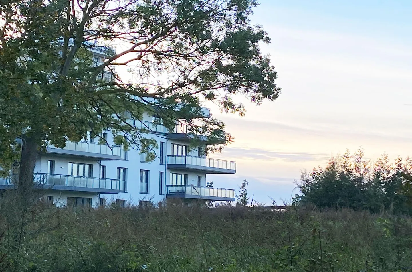  Kleine Stranddüne Wustrow - Hauptansicht