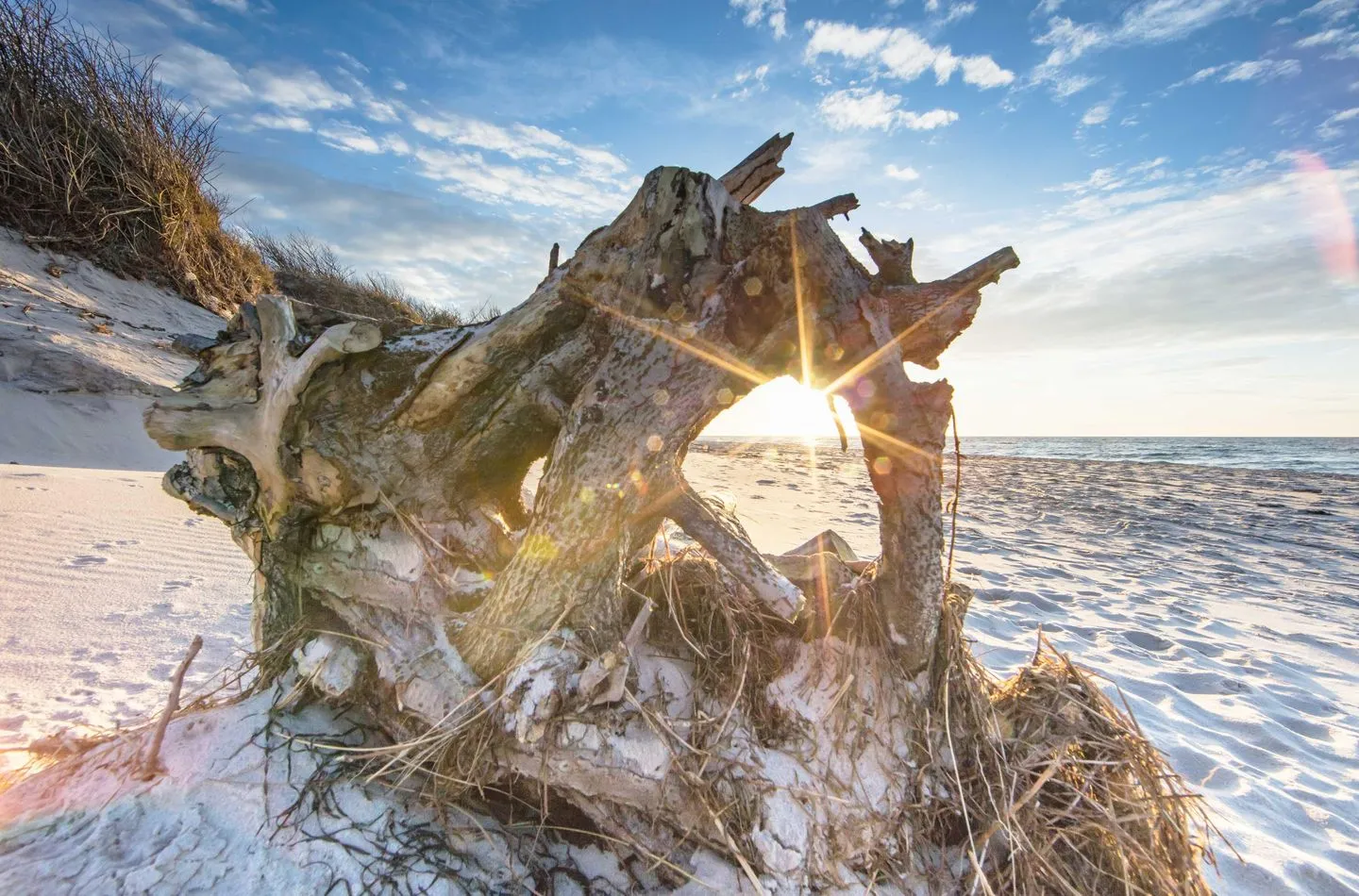  Kleine Stranddüne Wustrow - Landschaft