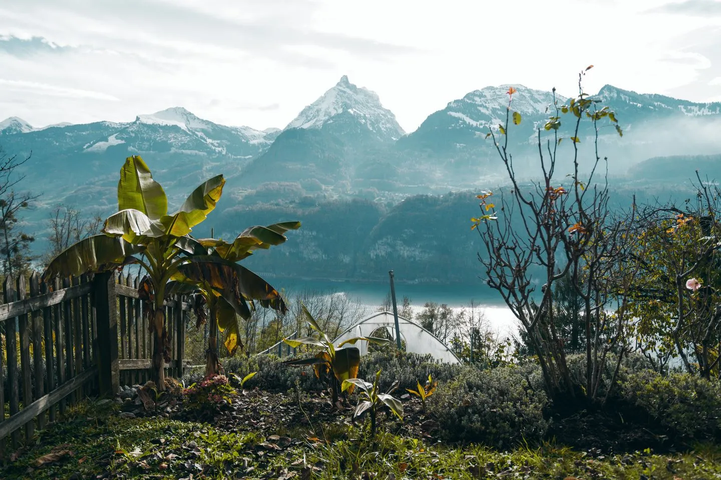 Apartment Im Lehni Amden - View on Mürtschenstock mountain and Lake Walensee