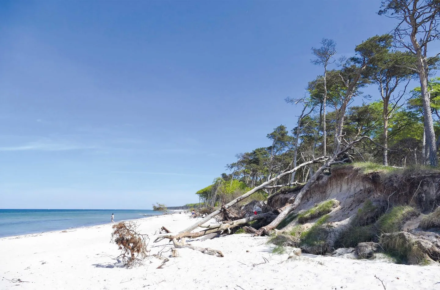 Große Strandperle Wustrow - Landschaft