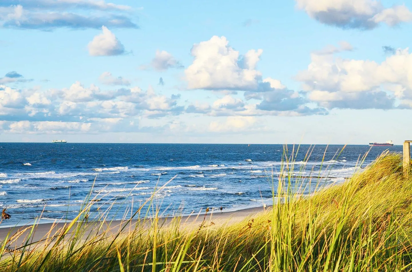  Strandlaeufer Wustrow - Strand