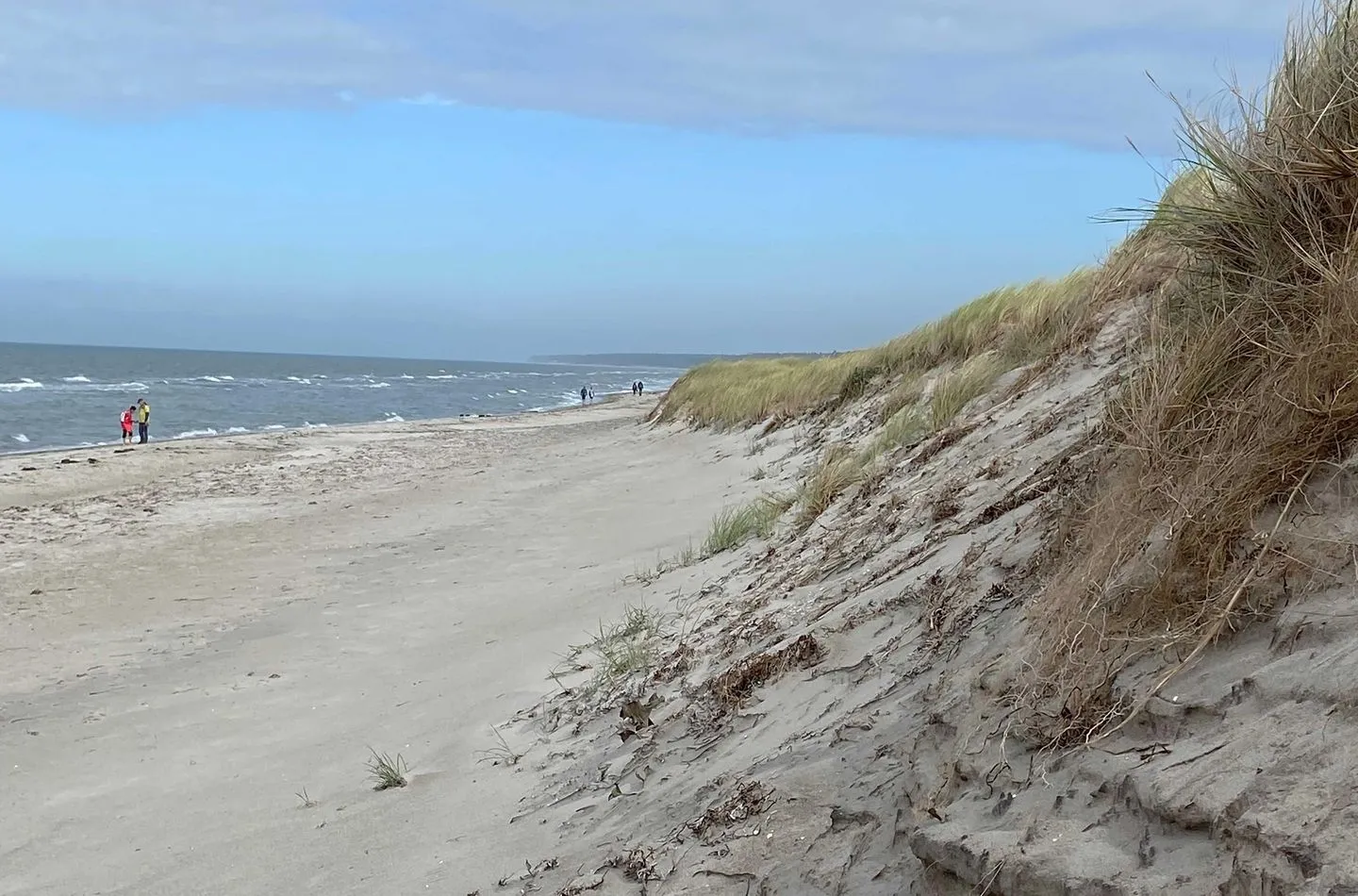  Strandlounge Wustrow - Strand