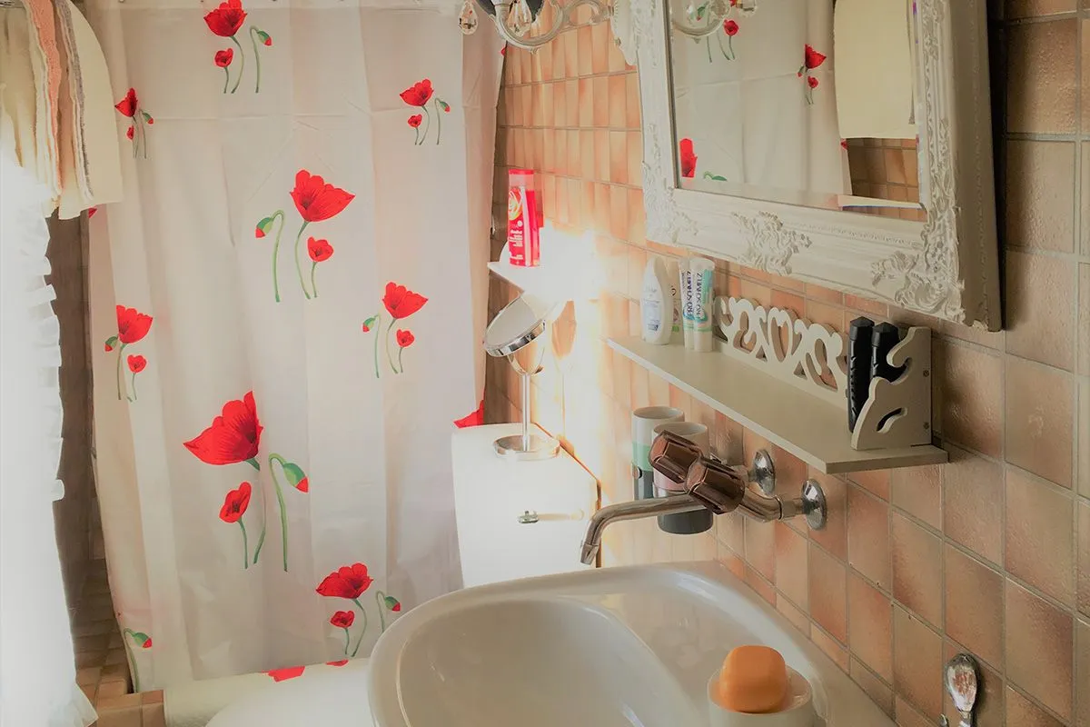 Apartment Karli 2 Amden - Badezimmer mit Dusche