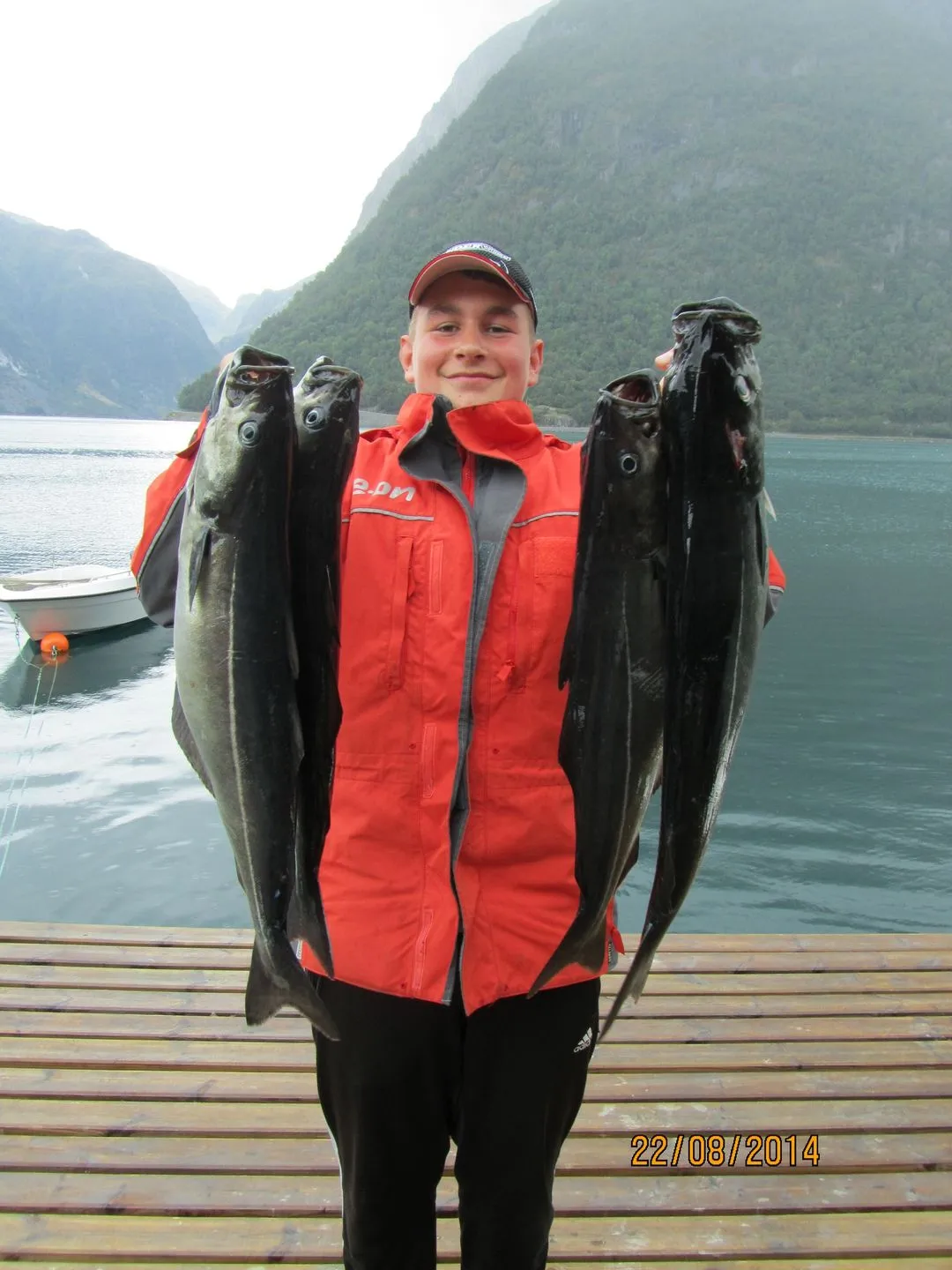 Fjordhytte-7 Sunndal -