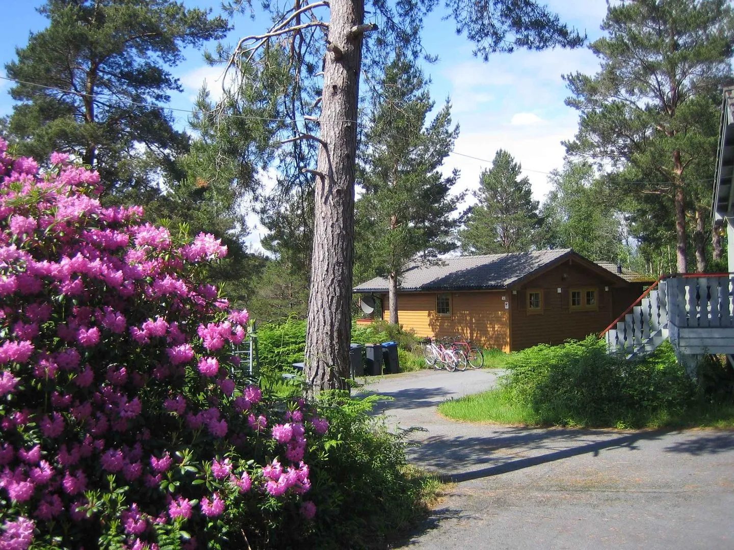 Fjordhytte-38 Rosendal - Gartenblick