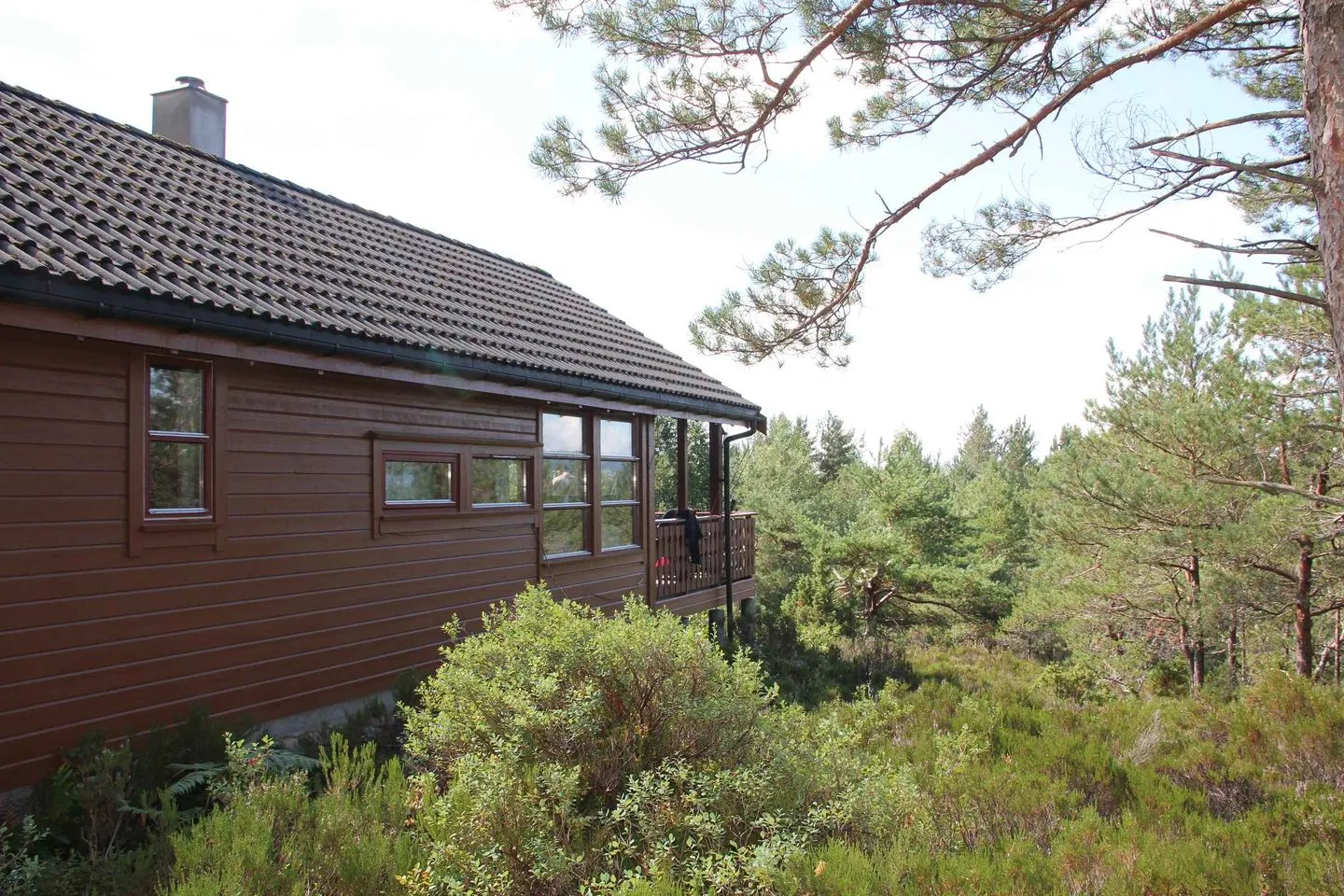 Fjordhytte-38 Rosendal - Fassade / Eingang