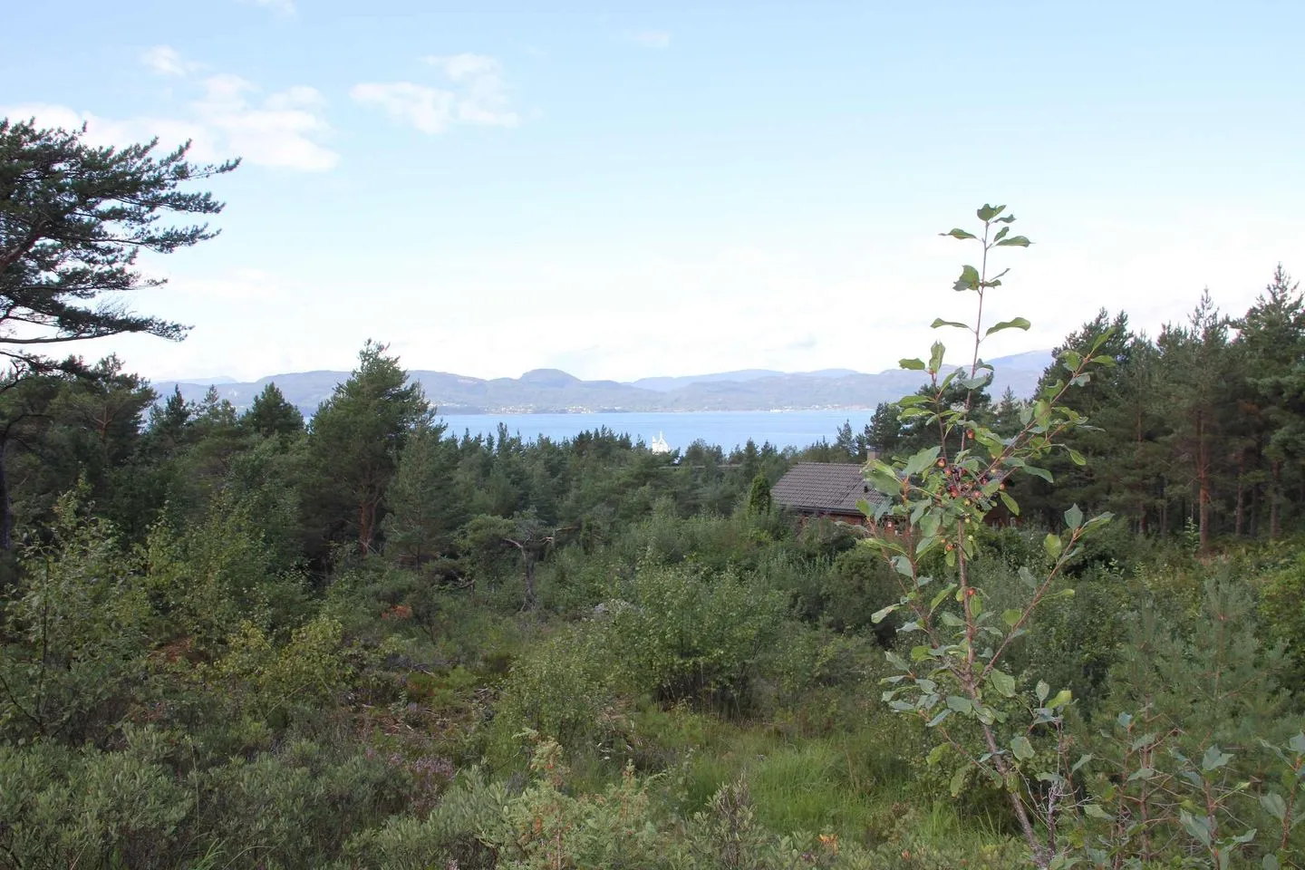 Fjordhytte-41 Rosendal -