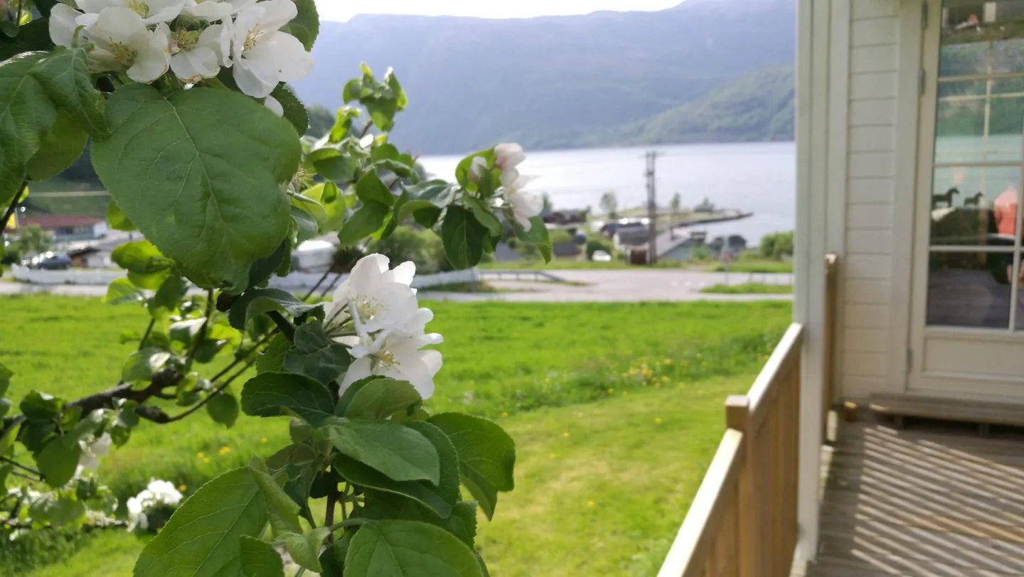 Fjordhytte-57 Sunndal -