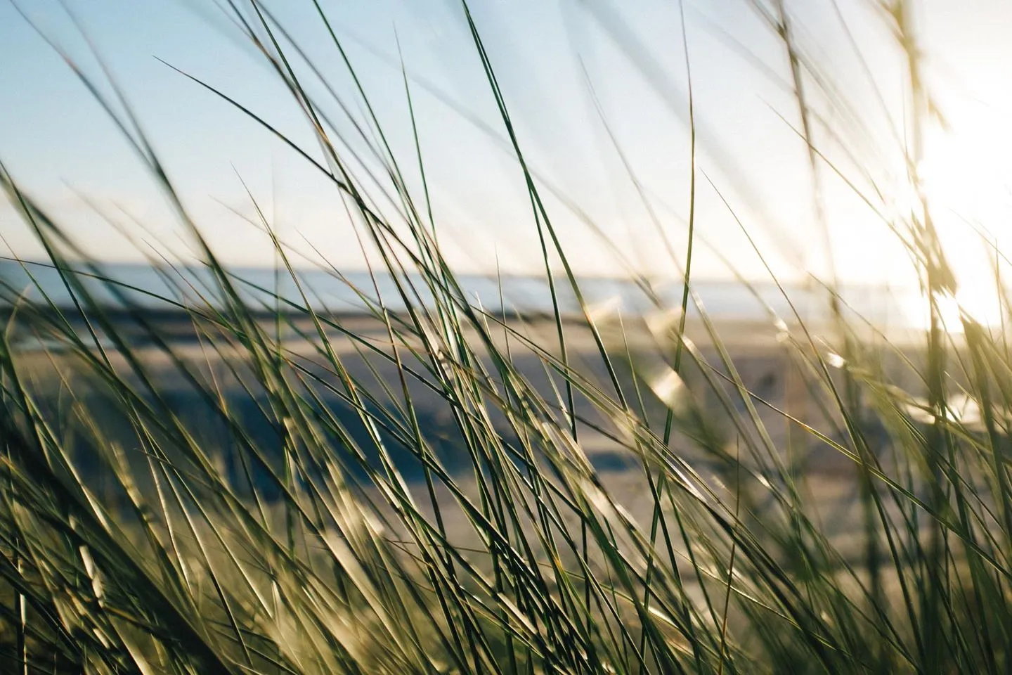 Nordstrandperle Ap. E2 Norderney Nordsee - Strand