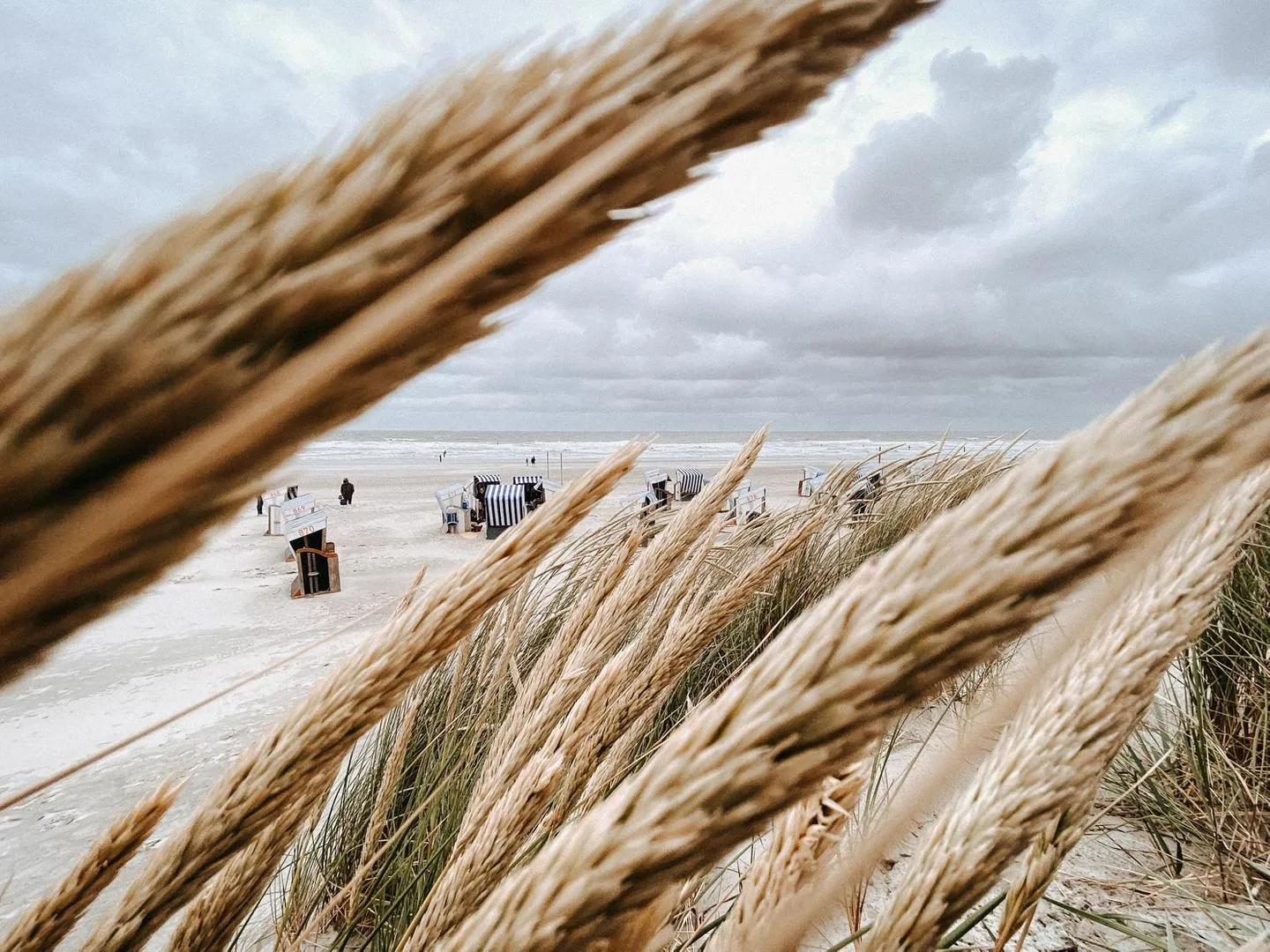 Nordstrandperle Ap. E3 Norderney Nordsee - Strand