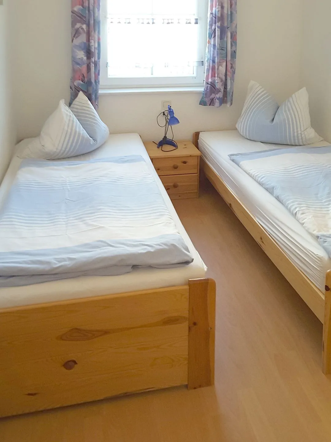 Haus Albatros Albatros Wo 1 Ostseebad Prerow -
