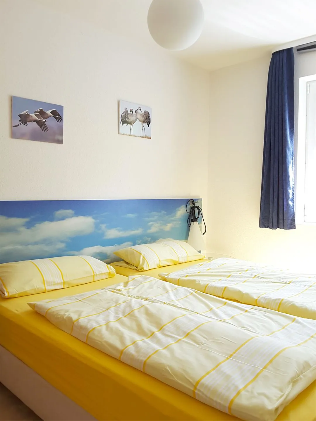 Buchenpark Buchenpark Wo 1 Ostseebad Prerow -