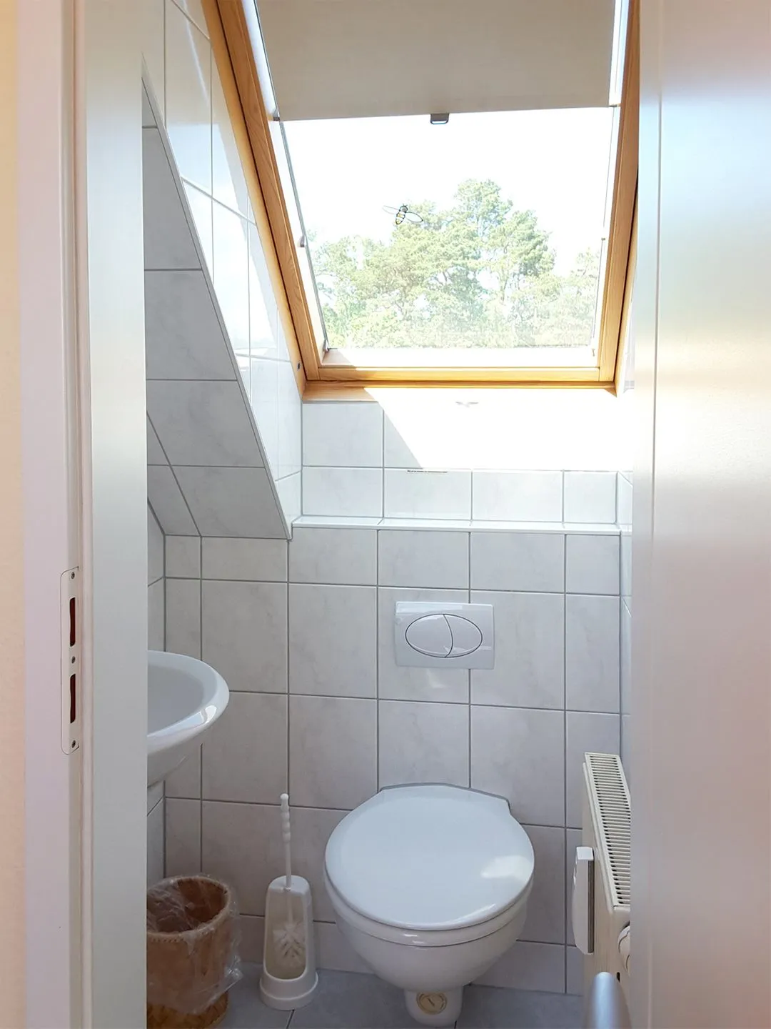 Buchengrund Buchengrund Wo 7 Ostseebad Prerow -