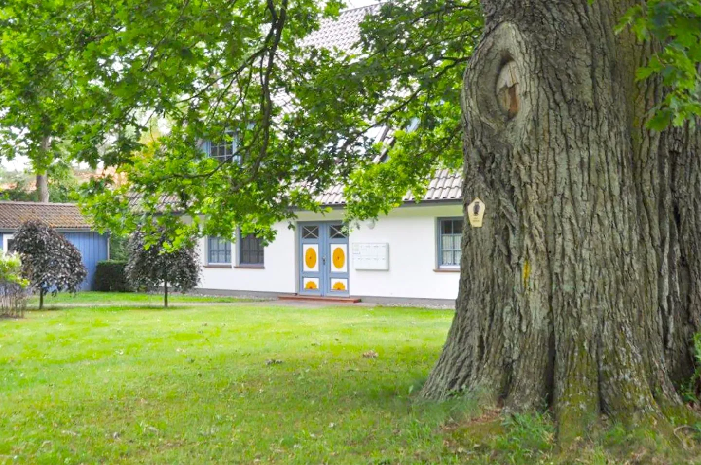 Eichenpark Eichenpark Haus 1 Wohnung 6 Ostseebad Prerow -