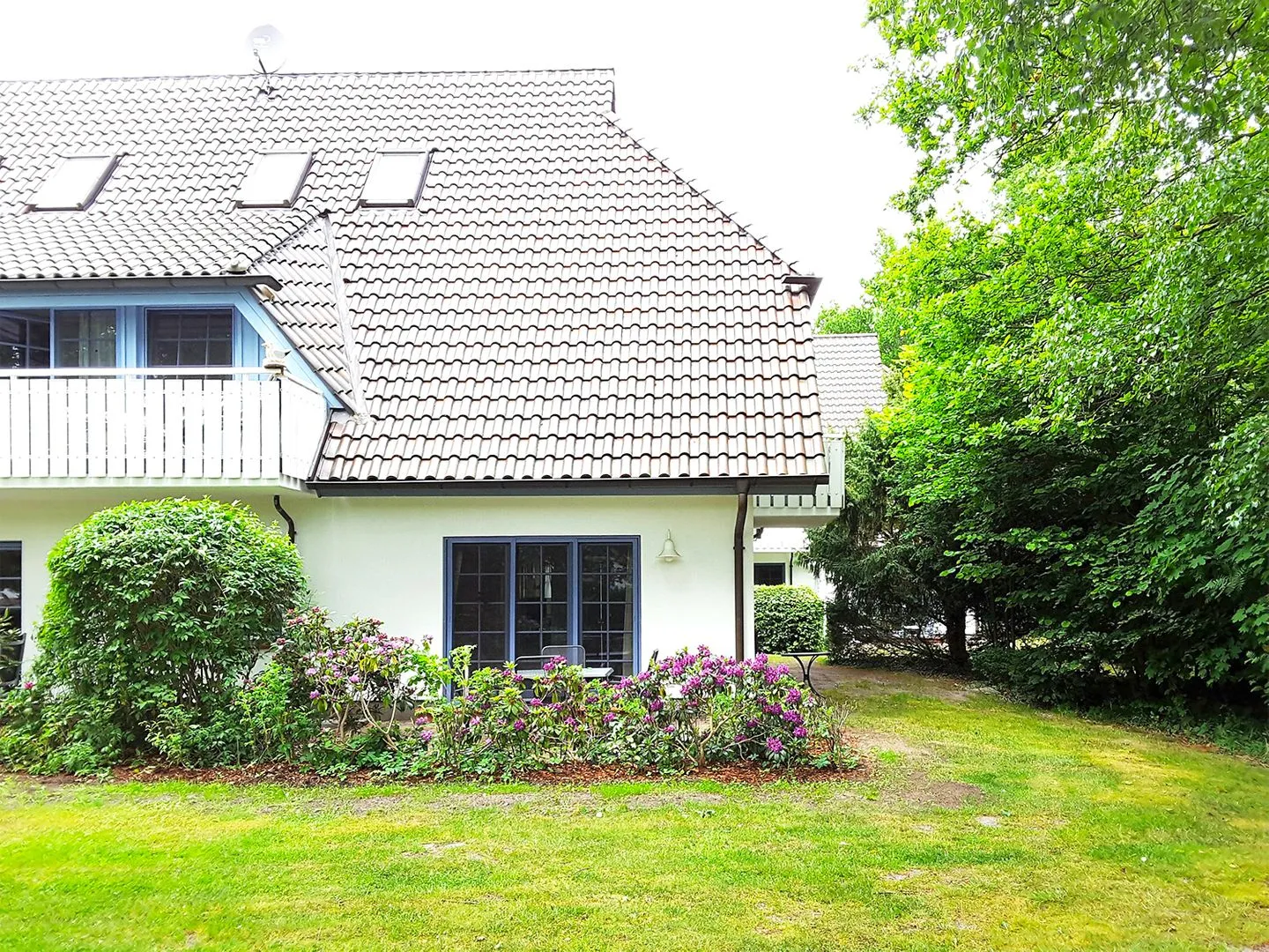 Eichenpark Eichenpark Haus 2 Wohnung 1 Ostseebad Prerow -