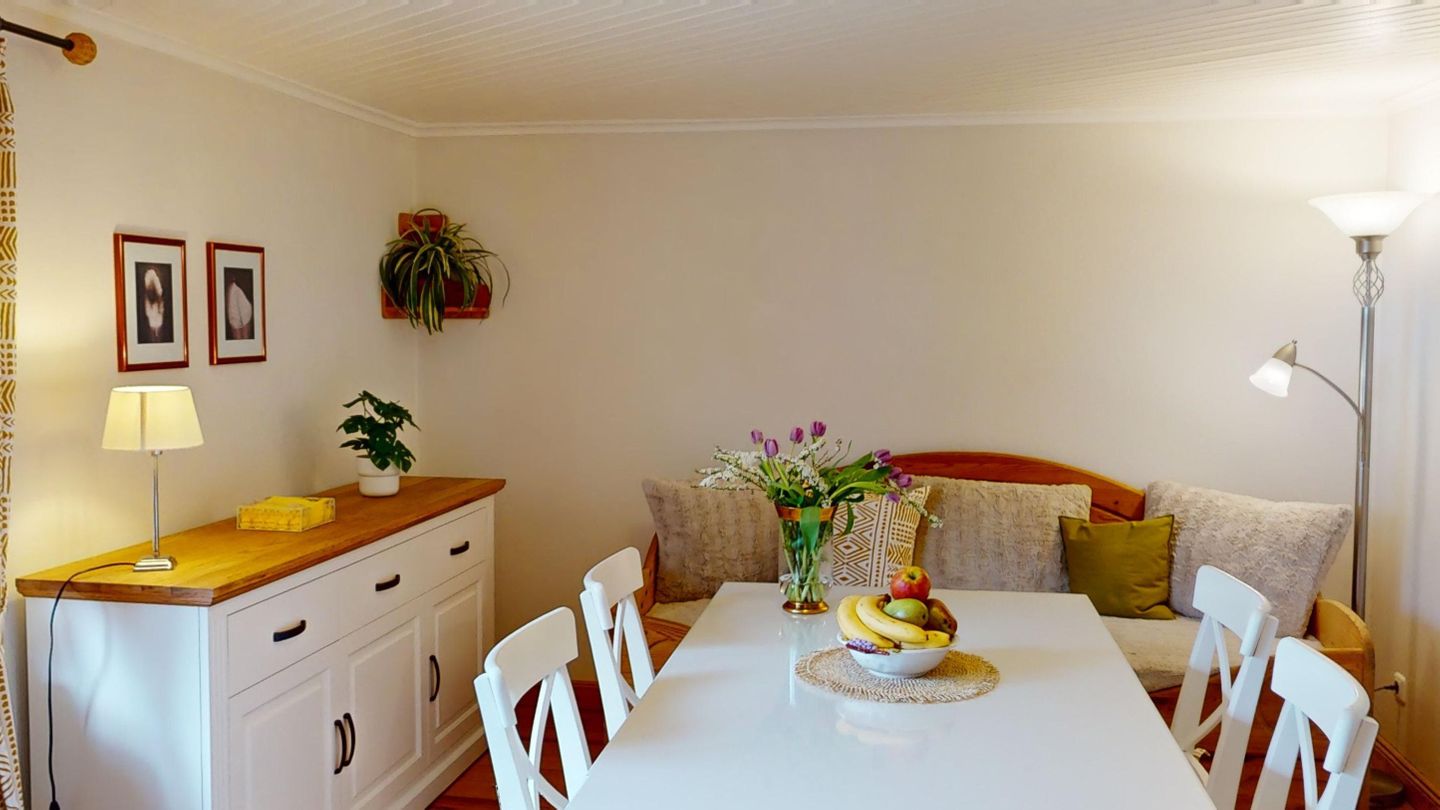 Gollendorf "Vier Pfoten" Bild 3