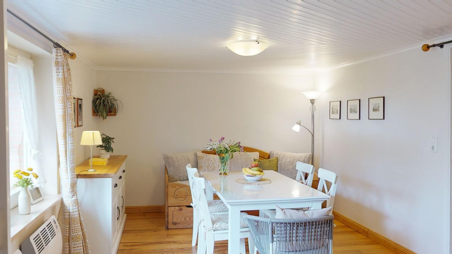 Gollendorf "Vier Pfoten" Bild 7