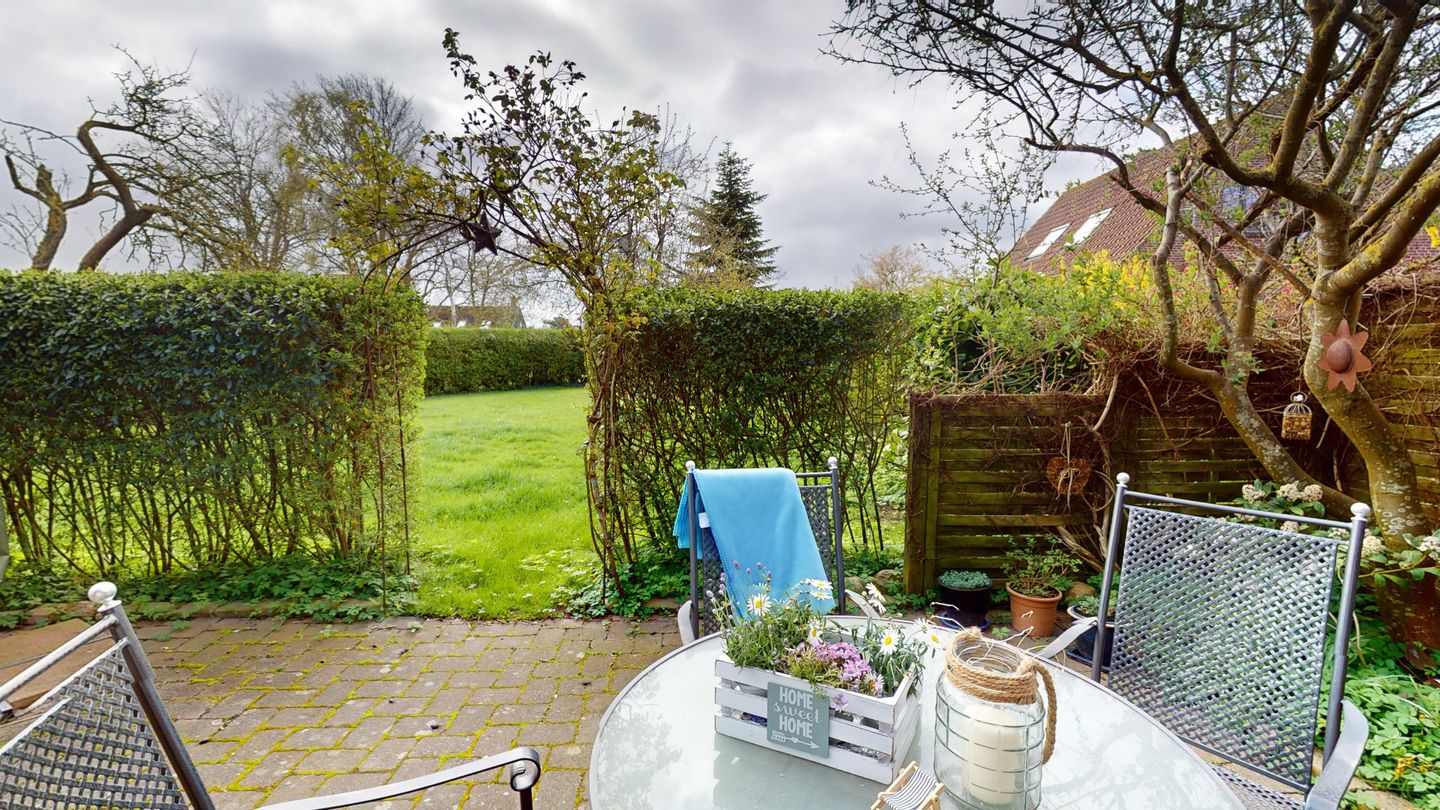 Gollendorf "Vier Pfoten" Bild 2