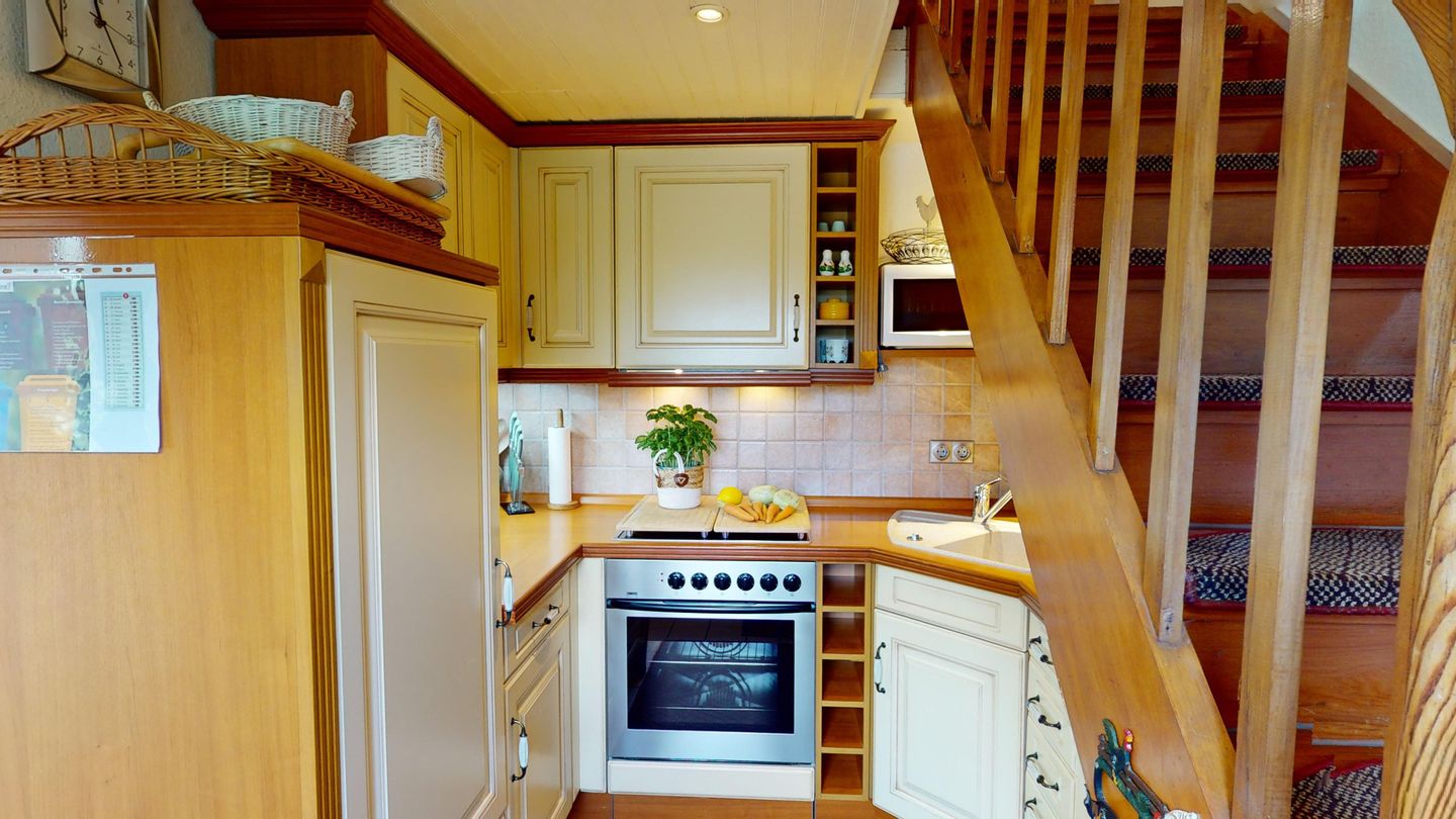 Gollendorf "Vier Pfoten" Bild 10