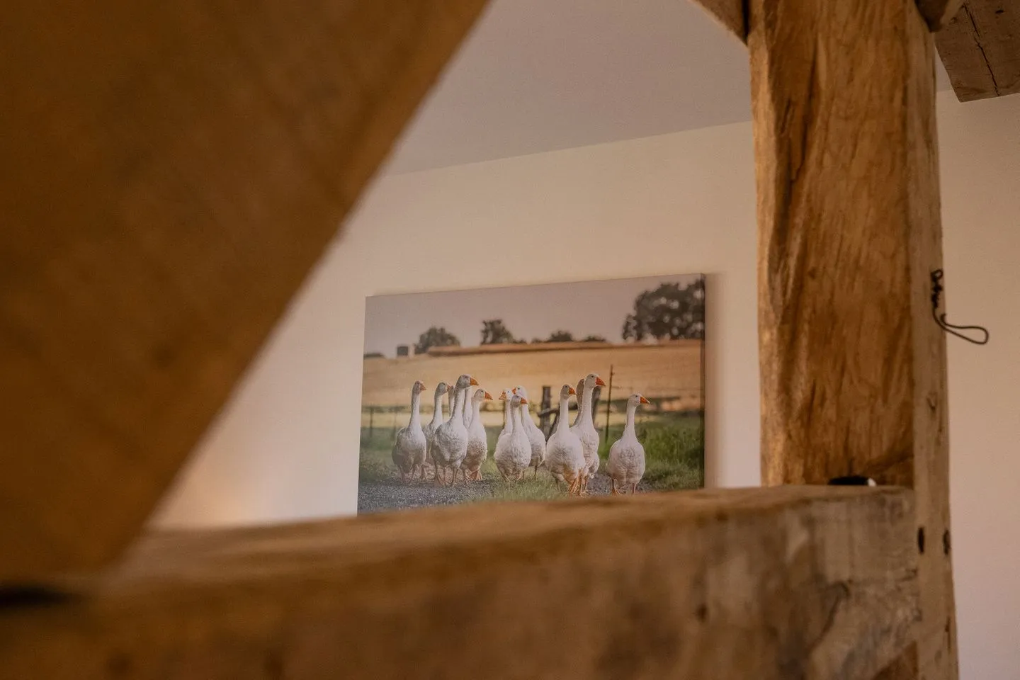 Reethus 22 Loft 7 Timmendorfer Strand -