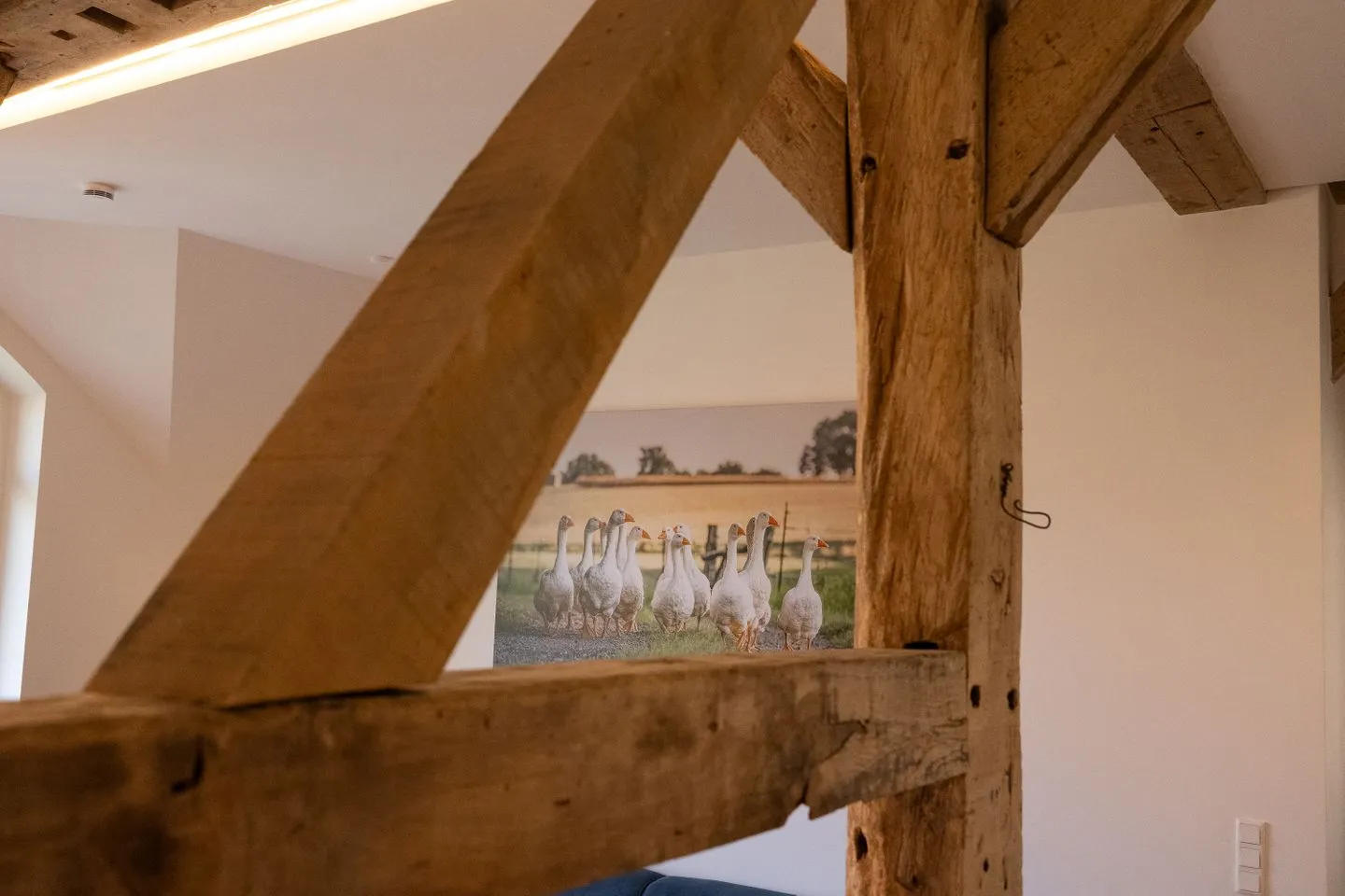 Reethus 22 Loft 7 Timmendorfer Strand -