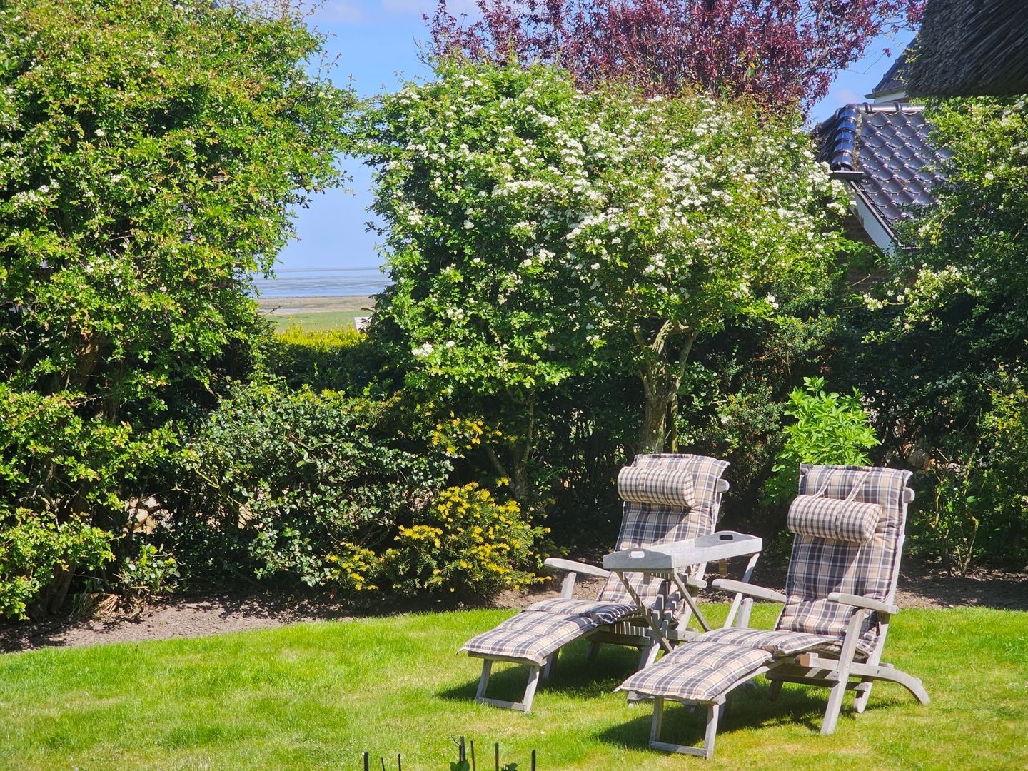 LITZKOW 10801 Morsum - Meerblick