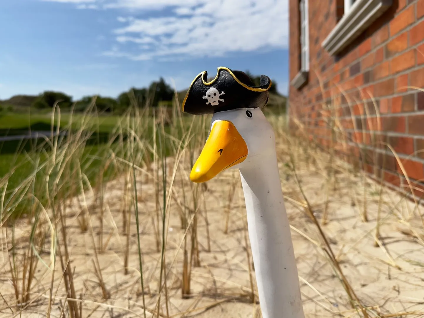 Haus Dünenperle Ferienwohnung "Dünengras" Wittdün auf Amrum - Dekoratives Detail