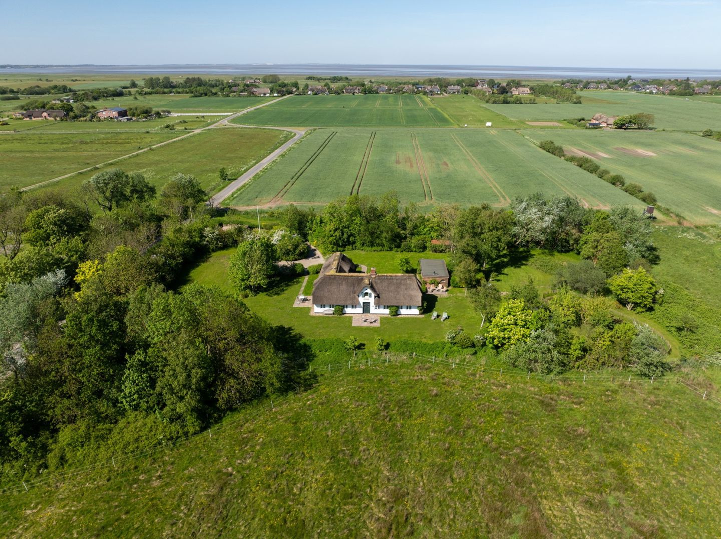  LITZKOW 12401 Morsum - 