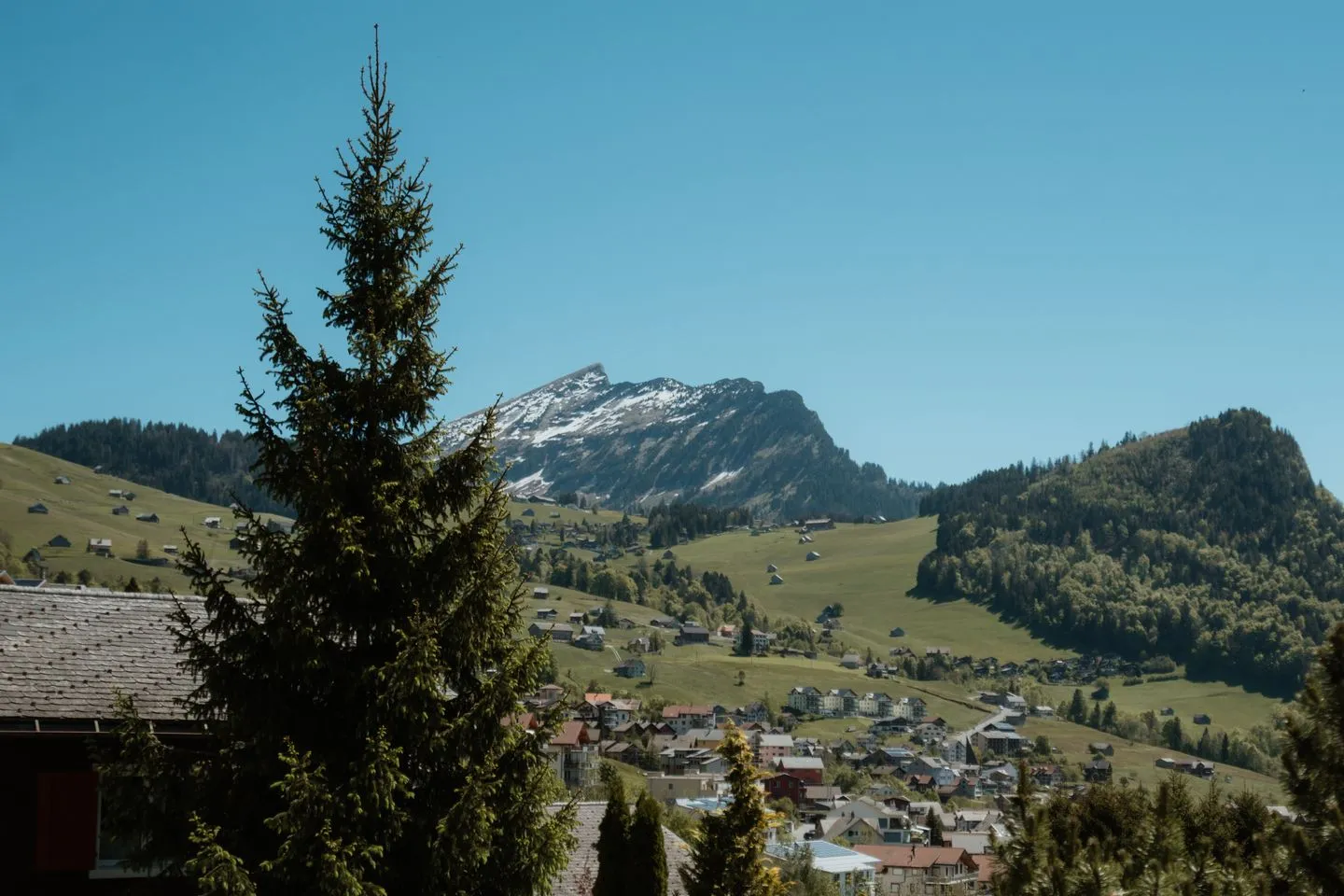 Apartment im Chalet zum Rad Amden - Scenery