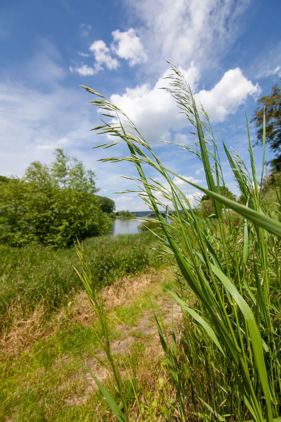 Birkwitzer Stübchen - zwischen Sächsischen Schweiz und Dresden, ruhig Pirna - Neighbourhood