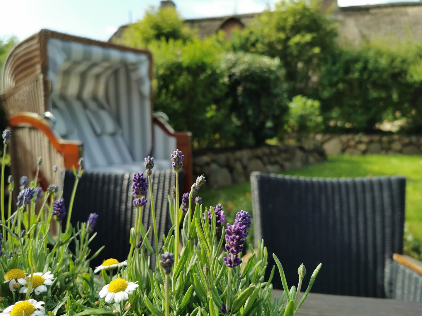 LITZKOW 10801 Morsum - Gartenblick