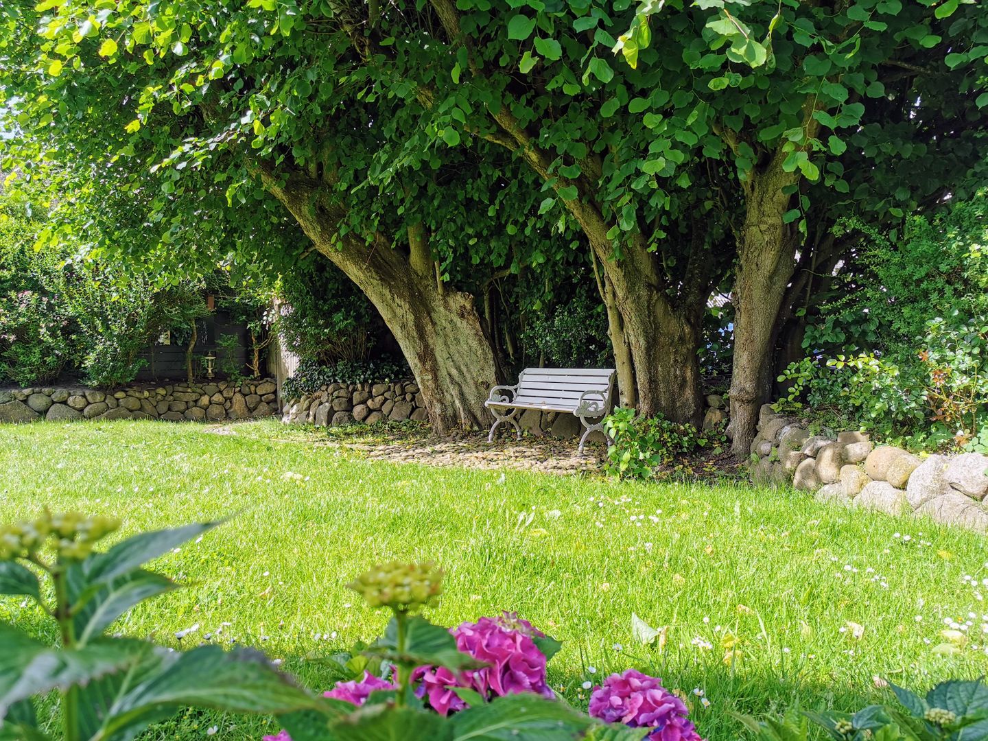 LITZKOW 10801 Morsum - Garten